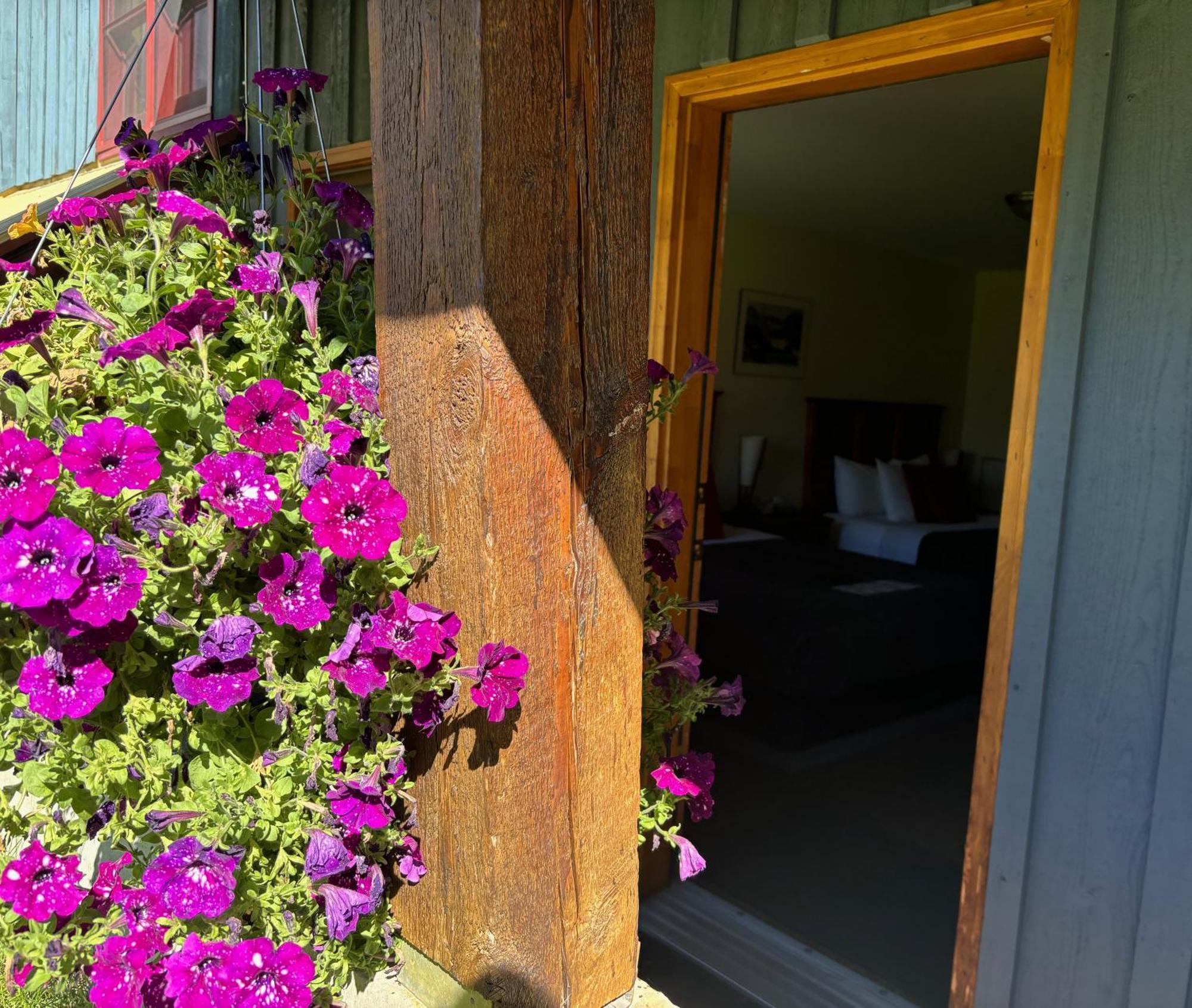 Truffle Pigs Lodge Field Bagian luar foto