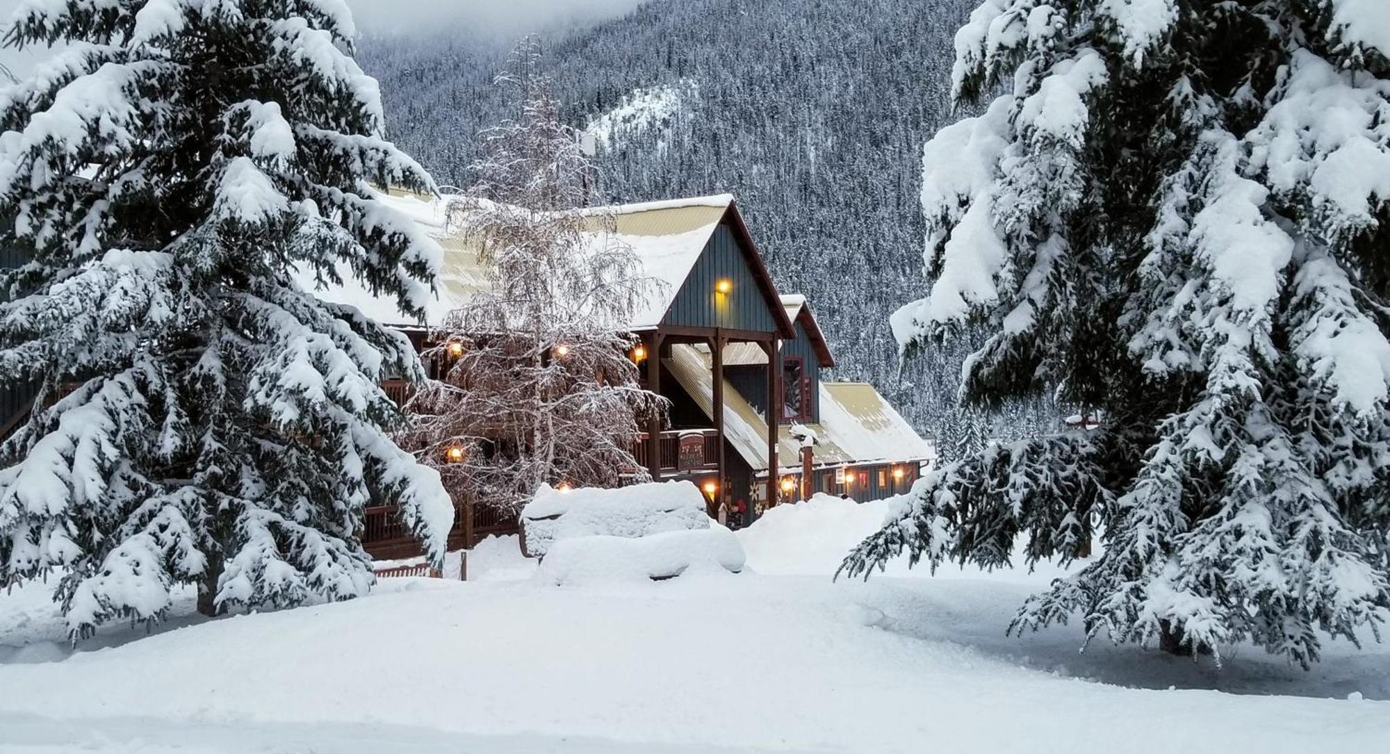 Truffle Pigs Lodge Field Bagian luar foto